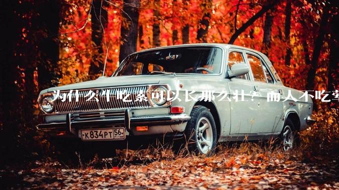 为什么牛吃素可以长那么壮？而人不吃荤就不行？