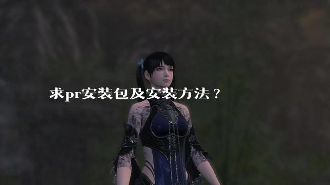 求pr安装包及安装方法?