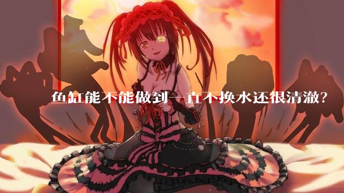 鱼缸能不能做到一直不换水还很清澈？