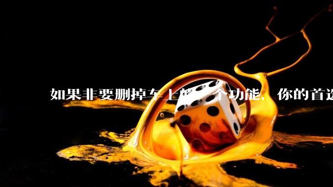 如果非要删掉车上的一个功能，你的首选会是什么呢?