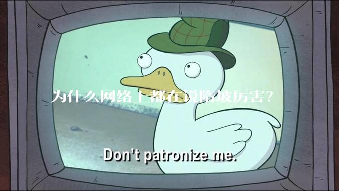 为什么网络上都在说隋坡厉害？