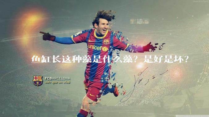 鱼缸长这种藻是什么藻？是好是坏？