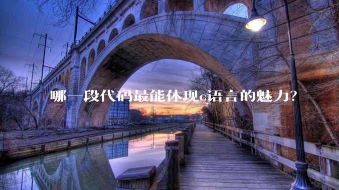 哪一段代码最能体现c语言的魅力?