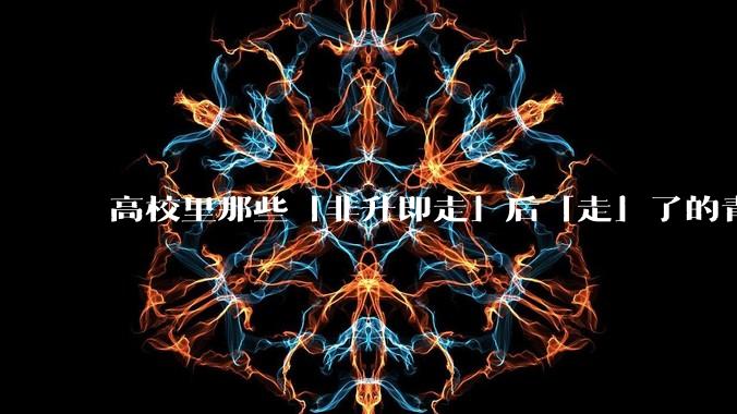 高校里那些「非升即走」后「走」了的青年教师都怎么样了？