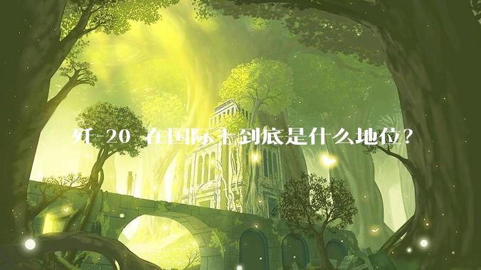 歼-20 在国际上到底是什么地位？